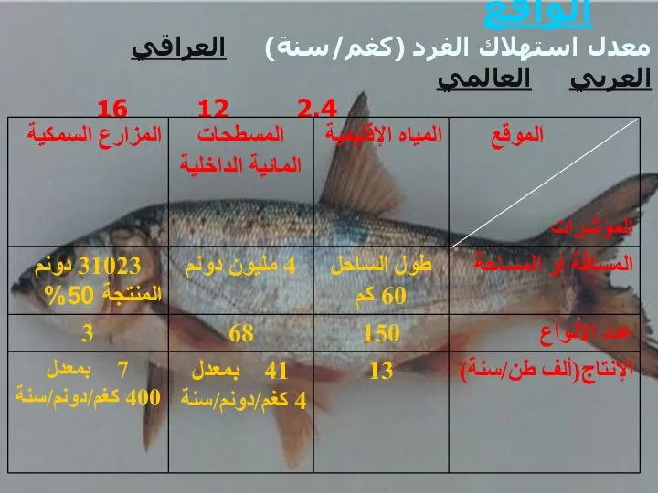 الواقع معدل استهلاك الفرد (كغم/سنة) العراقي العربي العالمي 2.4 12 16