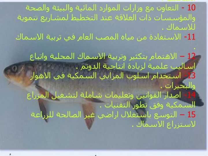 9 - الاستزراع بالاقفاص العائمة بعد دراسة اختيار الموقع المناسب . 10