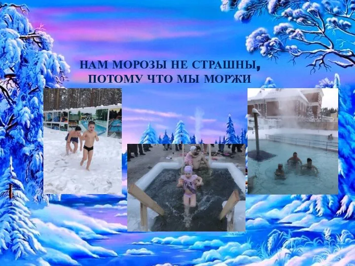 НАМ МОРОЗЫ НЕ СТРАШНЫ, ПОТОМУ ЧТО МЫ МОРЖИ