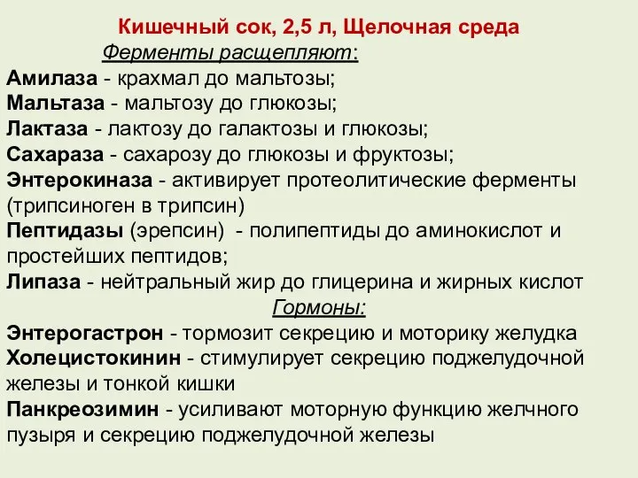 Кишечный сок, 2,5 л, Щелочная среда Ферменты расщепляют: Амилаза - крахмал до