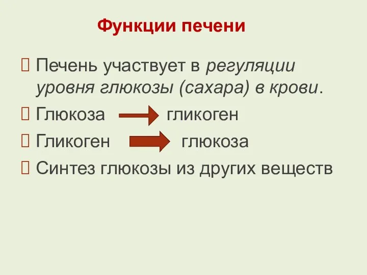 Функции печени Печень участвует в регуляции уровня глюкозы (сахара) в крови. Глюкоза