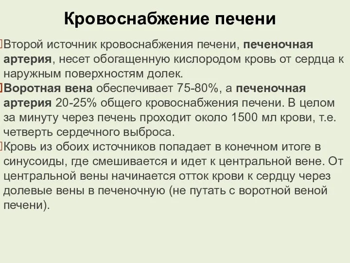 Кровоснабжение печени Второй источник кровоснабжения печени, печеночная артерия, несет обогащенную кислородом кровь