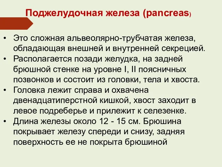 Поджелудочная железа (pancreas) Это сложная альвеолярно-трубчатая железа, обладающая внешней и внутренней секрецией.