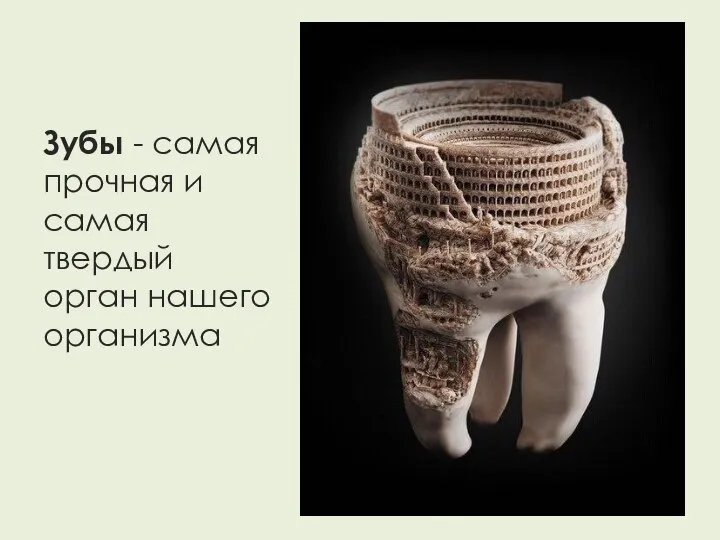 Зубы - самая прочная и самая твердый орган нашего организма