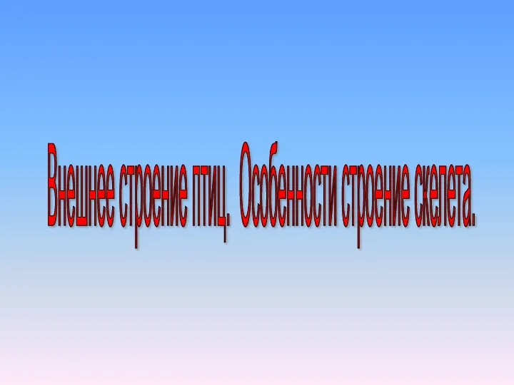 Внешнее строение птиц. Особенности строение скелета.