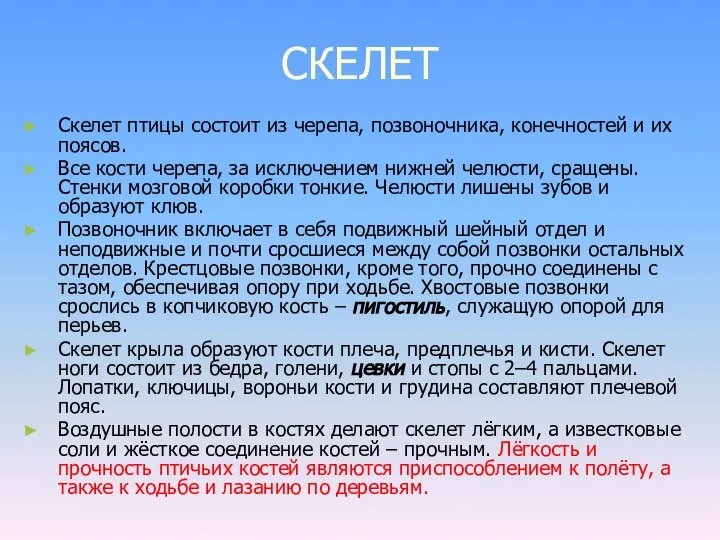 СКЕЛЕТ Скелет птицы состоит из черепа, позвоночника, конечностей и их поясов. Все