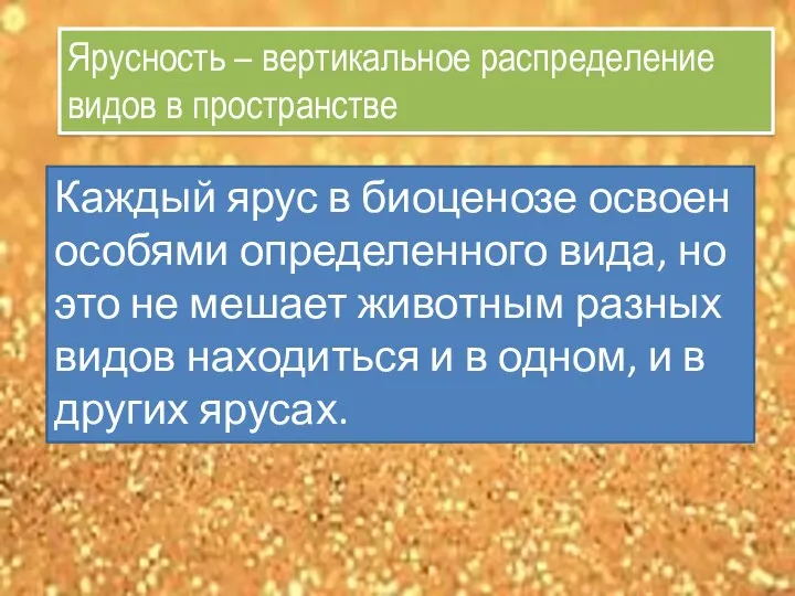 Ярусность – вертикальное распределение видов в пространстве Каждый ярус в биоценозе освоен