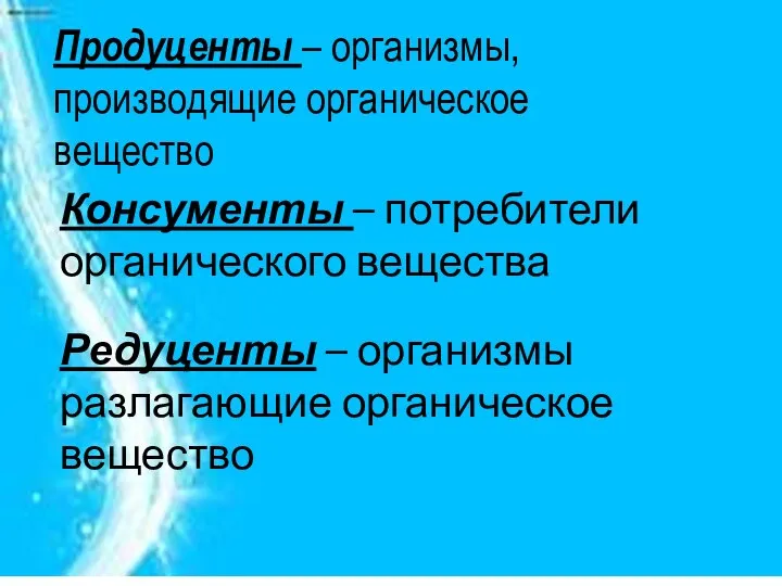 Продуценты – организмы, производящие органическое вещество Консументы – потребители органического вещества Редуценты