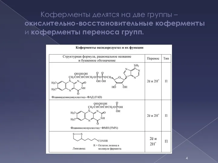 Коферменты делятся на две группы – окислительно-восстановительные коферменты и коферменты переноса групп.