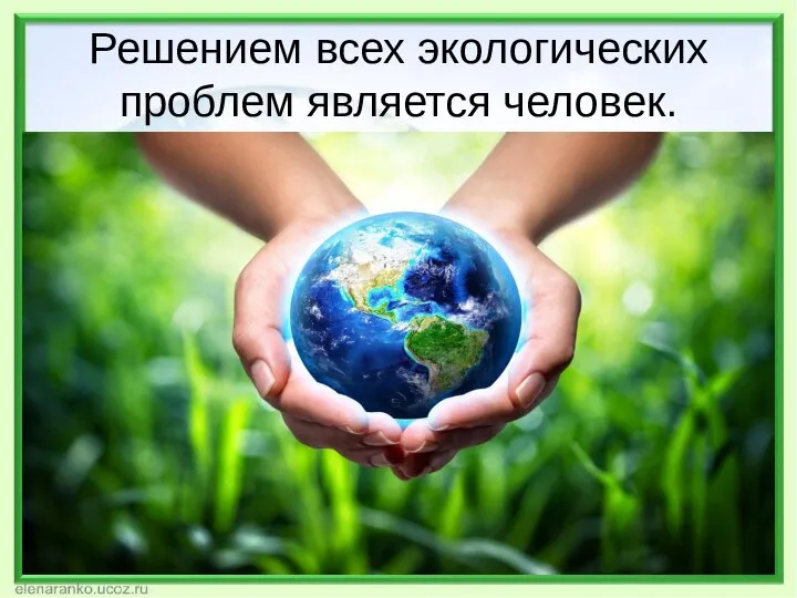 Решением всех экологических проблем является человек.