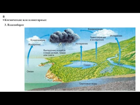 Космические или планетарные: 3. Влагооборот Константинова Т.В. caltha@list.ru В5