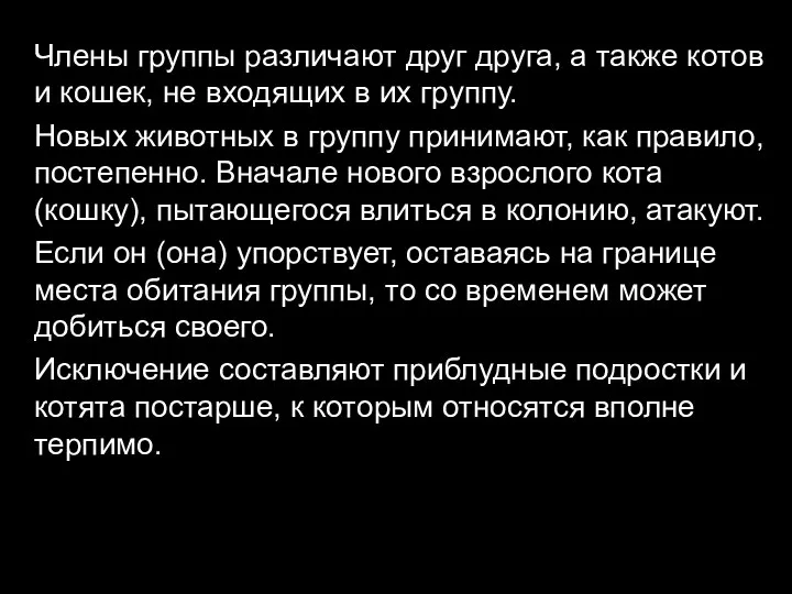 Члены группы различают друг друга, а также котов и кошек, не входящих