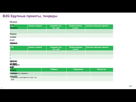 B2G Крупные проекты, тендеры Основной бизнес. Реализованные проекты с ежемесячной выручкой от