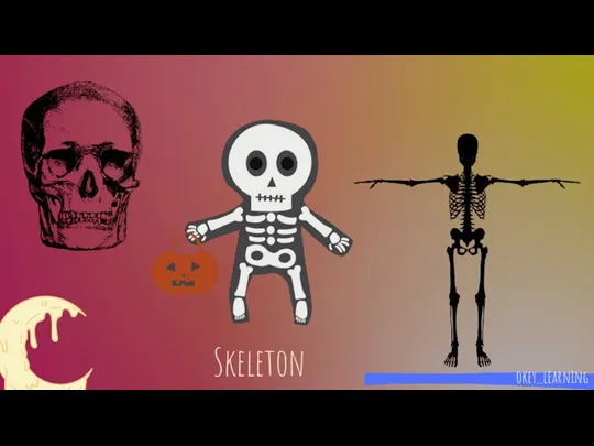 okey_learning Skeleton