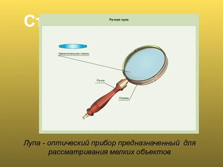 Строение лишайника Лупа - оптический прибор предназначенный для рассматривания мелких объектов