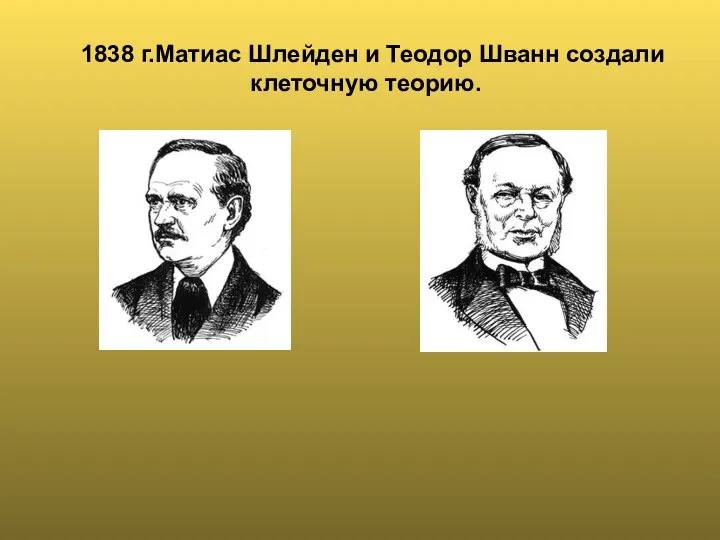 1838 г.Матиас Шлейден и Теодор Шванн создали клеточную теорию.