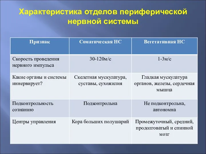 Характеристика отделов периферической нервной системы