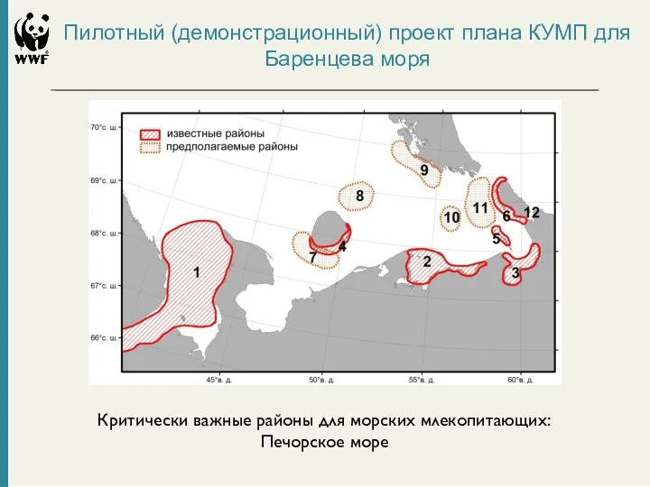 Критически важные районы для морских млекопитающих: Печорское море Пилотный (демонстрационный) проект плана КУМП для Баренцева моря