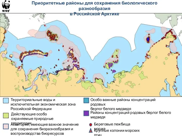 Территориальные воды и исключительная экономическая зона Российской Федерации Действующие особо охраняемые природные