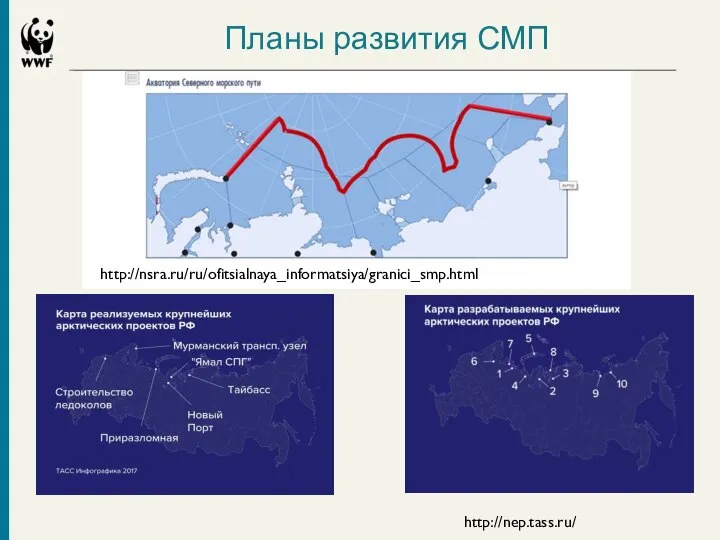 Планы развития СМП http://nep.tass.ru/ http://nsra.ru/ru/ofitsialnaya_informatsiya/granici_smp.html