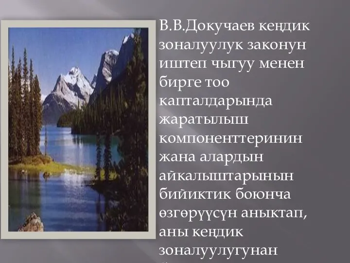 В.В.Докучаев кеңдик зоналуулук законун иштеп чыгуу менен бирге тоо капталдарында жаратылыш компоненттеринин