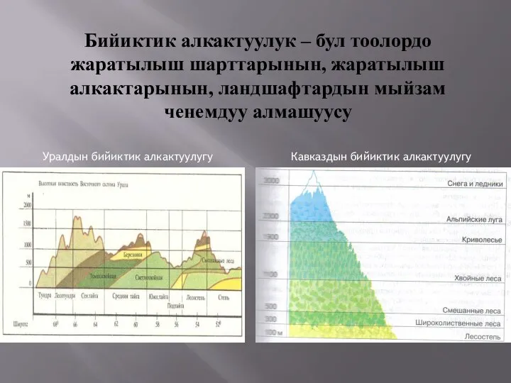 Бийиктик алкактуулук – бул тоолордо жаратылыш шарттарынын, жаратылыш алкактарынын, ландшафтардын мыйзам ченемдуу