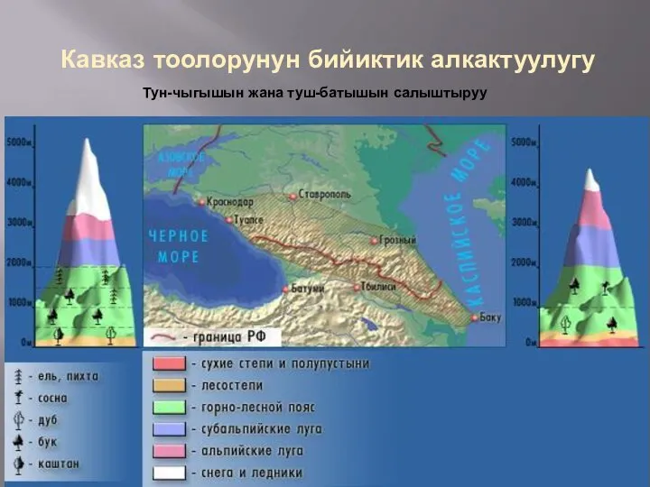 Кавказ тоолорунун бийиктик алкактуулугу Тун-чыгышын жана туш-батышын салыштыруу