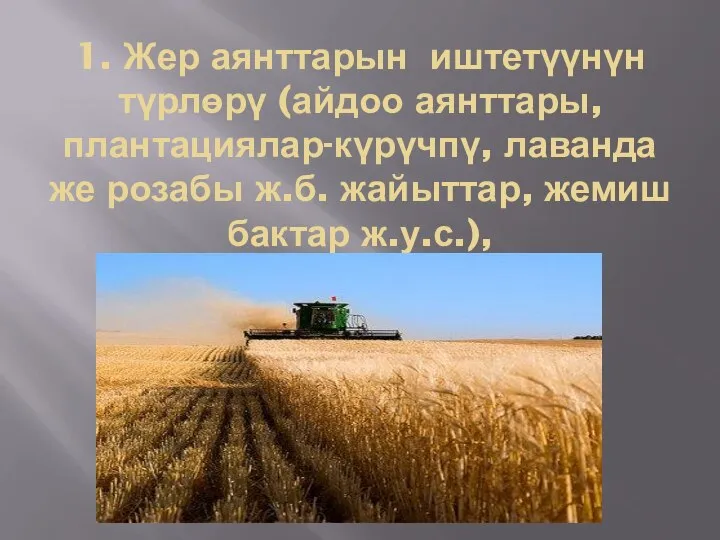 1. Жер аянттарын иштетүүнүн түрлөрү (айдоо аянттары, плантациялар-күрүчпү, лаванда же розабы ж.б. жайыттар, жемиш бактар ж.у.с.),