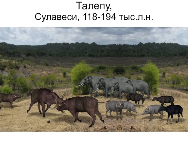 Талепу, Сулавеси, 118-194 тыс.л.н.