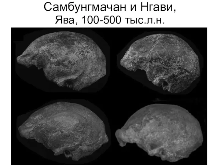 Самбунгмачан и Нгави, Ява, 100-500 тыс.л.н.