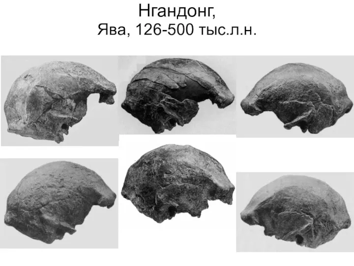 Нгандонг, Ява, 126-500 тыс.л.н.