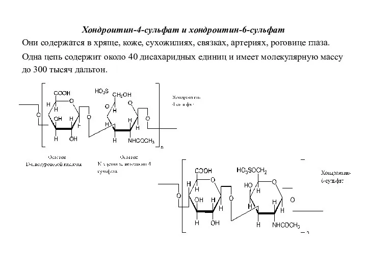 Хондроитин-4-сульфат и хондроитин-6-сульфат Они содержатся в хряще, коже, сухожилиях, связках, артериях, роговице