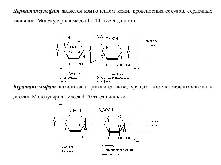 Дерматансульфат является компонентом кожи, кровеносных сосудов, сердечных клапанов. Молекулярная масса 15-40 тысяч
