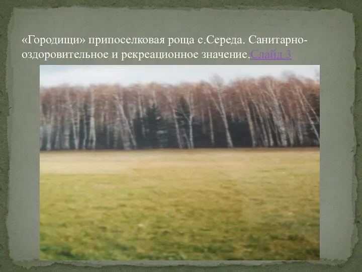 «Городищи» припоселковая роща с.Середа. Санитарно-оздоровительное и рекреационное значение.Слайд 3