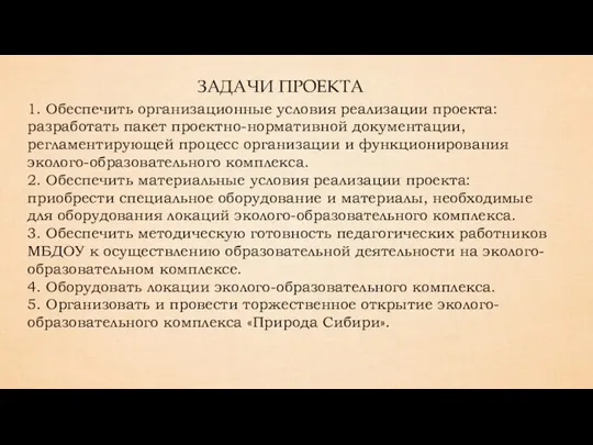 1. Обеспечить организационные условия реализации проекта: разработать пакет проектно-нормативной документации, регламентирующей процесс