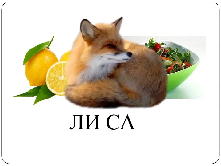 ЛИ СА