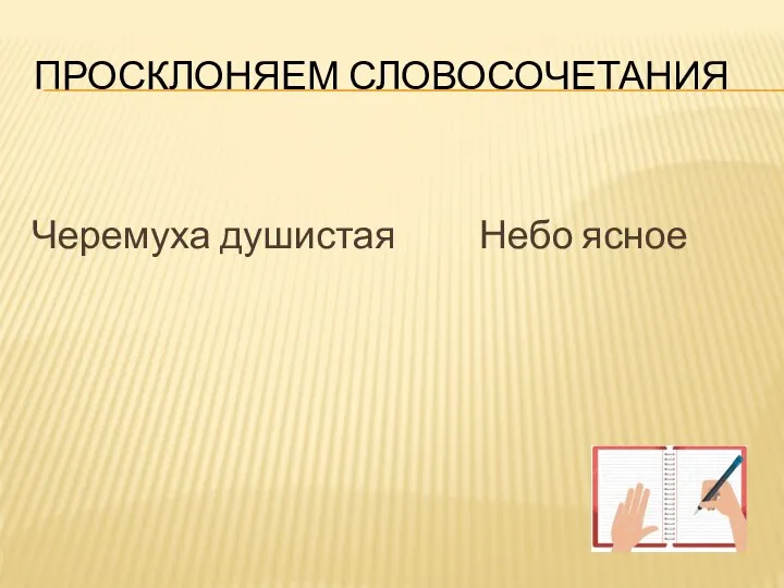 ПРОСКЛОНЯЕМ СЛОВОСОЧЕТАНИЯ Черемуха душистая Небо ясное