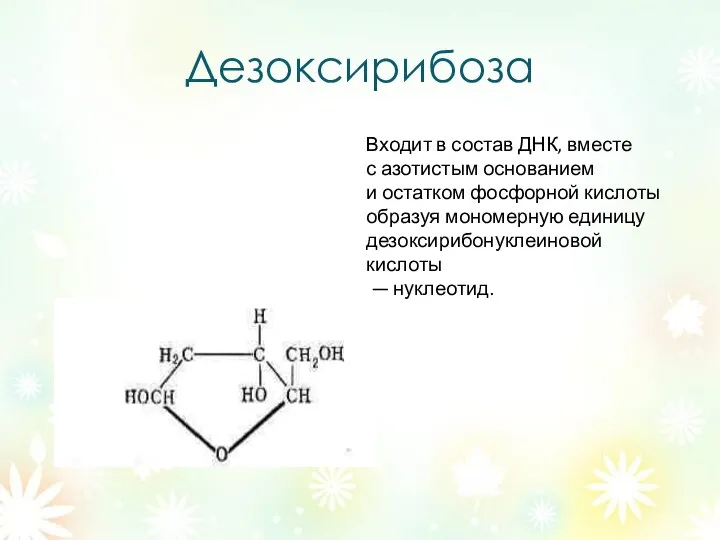 Дезоксирибоза Входит в состав ДНК, вместе с азотистым основанием и остатком фосфорной