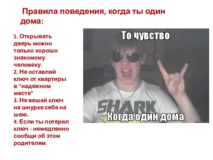 Правила поведения, когда ты один дома: 1. Открывать дверь можно только хорошо