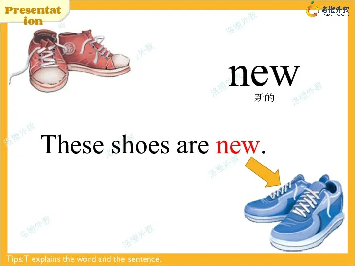 Presentation new Tips: T explains the word and the sentence. These shoes are new. 新的