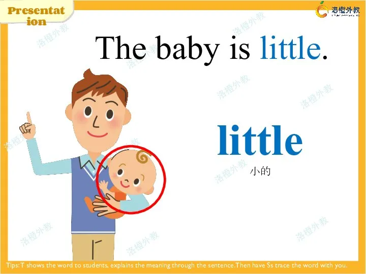 little 小的 The baby is little. Presentation Tips: T shows the word