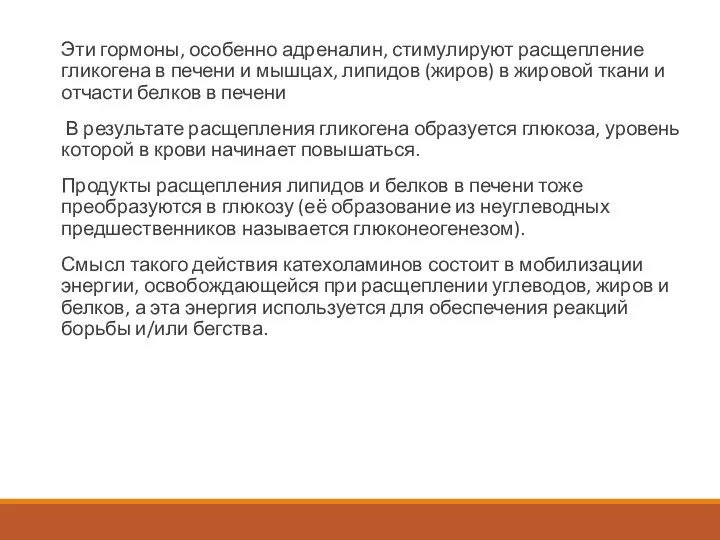 Эти гормоны, особенно адреналин, стимулируют расщепление гликогена в печени и мышцах, липидов