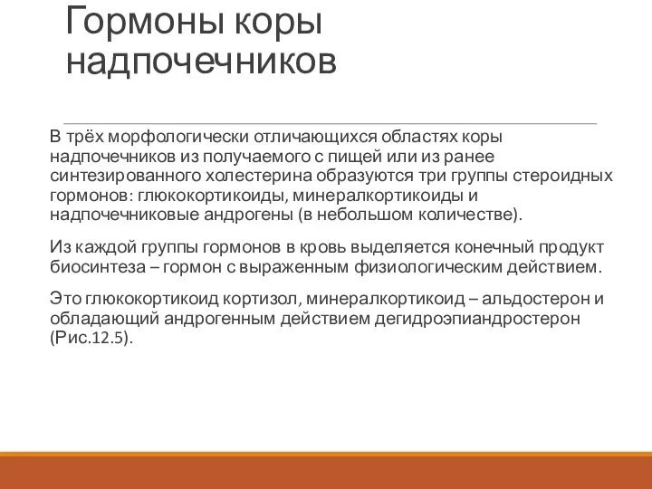 Гормоны коры надпочечников В трёх морфологически отличающихся областях коры надпочечников из получаемого