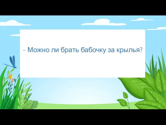 - Можно ли брать бабочку за крылья?