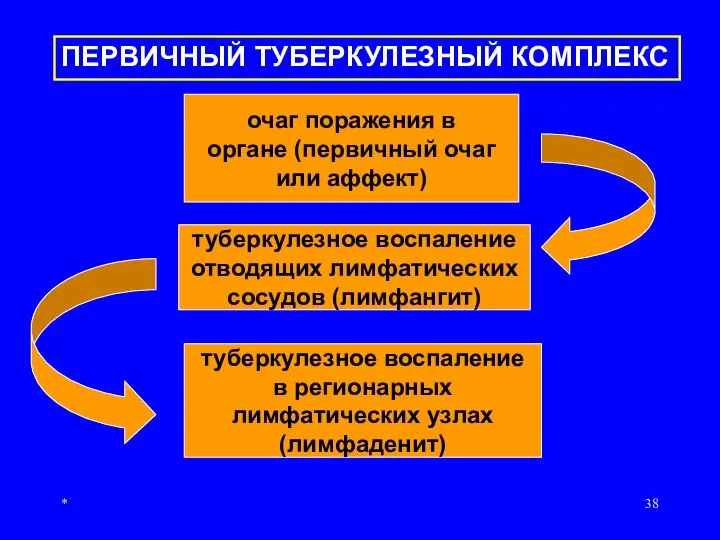 * очаг поражения в органе (первичный очаг или аффект) туберкулезное воспаление отводящих