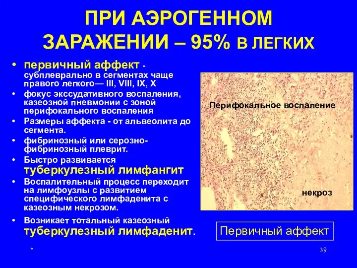 * ПРИ АЭРОГЕННОМ ЗАРАЖЕНИИ – 95% В ЛЕГКИХ первичный аффект - субплеврально