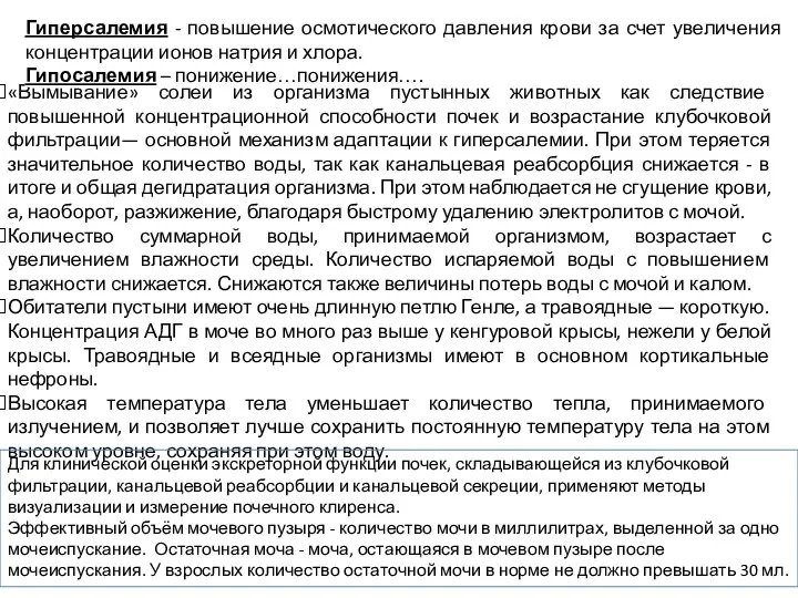 «Вымывание» солей из организма пустынных животных как следствие повышенной концентрационной способности почек