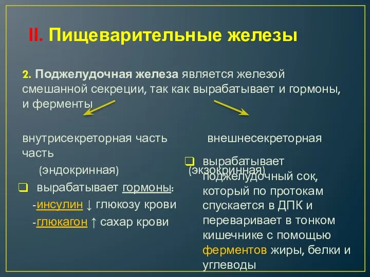 ІІ. Пищеварительные железы 2. Поджелудочная железа является железой смешанной секреции, так как