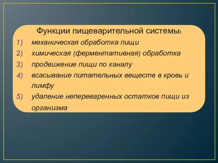 Функции пищеварительной системы: механическая обработка пищи химическая (ферментативная) обработка продвижение пищи по