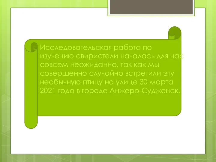 Исследовательская работа по изучению свиристели началась для нас совсем неожиданно, так как